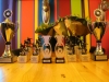 Verenigingskampioenschappen Bowlingvereniging Tiel 2012